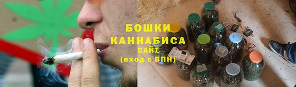 индика Нижний Тагил