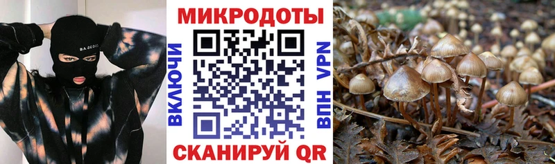 купить наркотики цена  Дудинка  Псилоцибиновые грибы Cubensis 